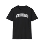 Newfoundland Classic Varsity T-Shirt - Newfinese Please
