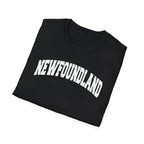 Newfoundland Classic Varsity T-Shirt - Newfinese Please