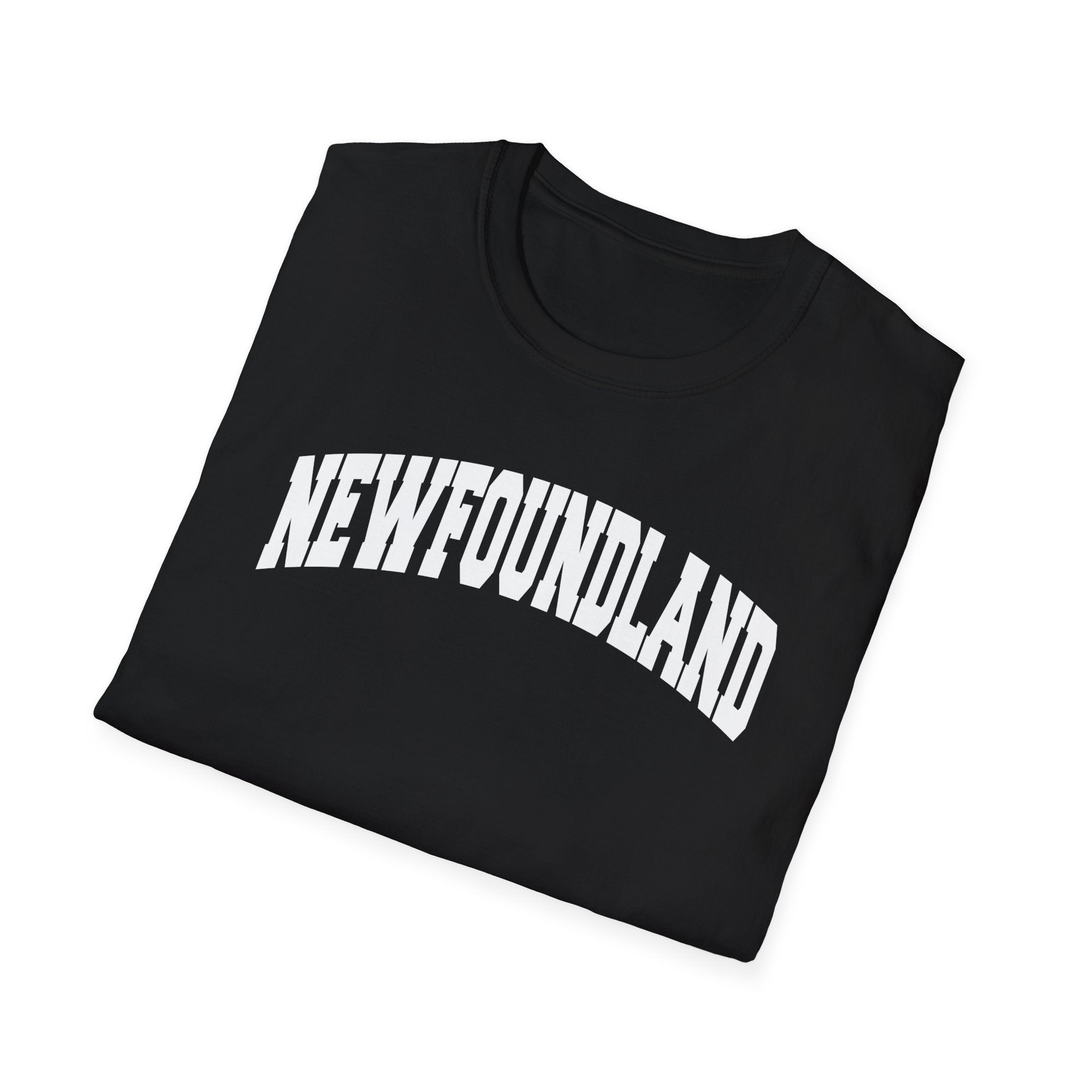 Newfoundland Classic Varsity T-Shirt - Newfinese Please
