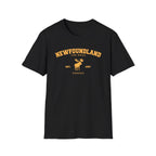 Newfoundland "The Rock" Est. 1497 T-Shirt - Newfinese Please