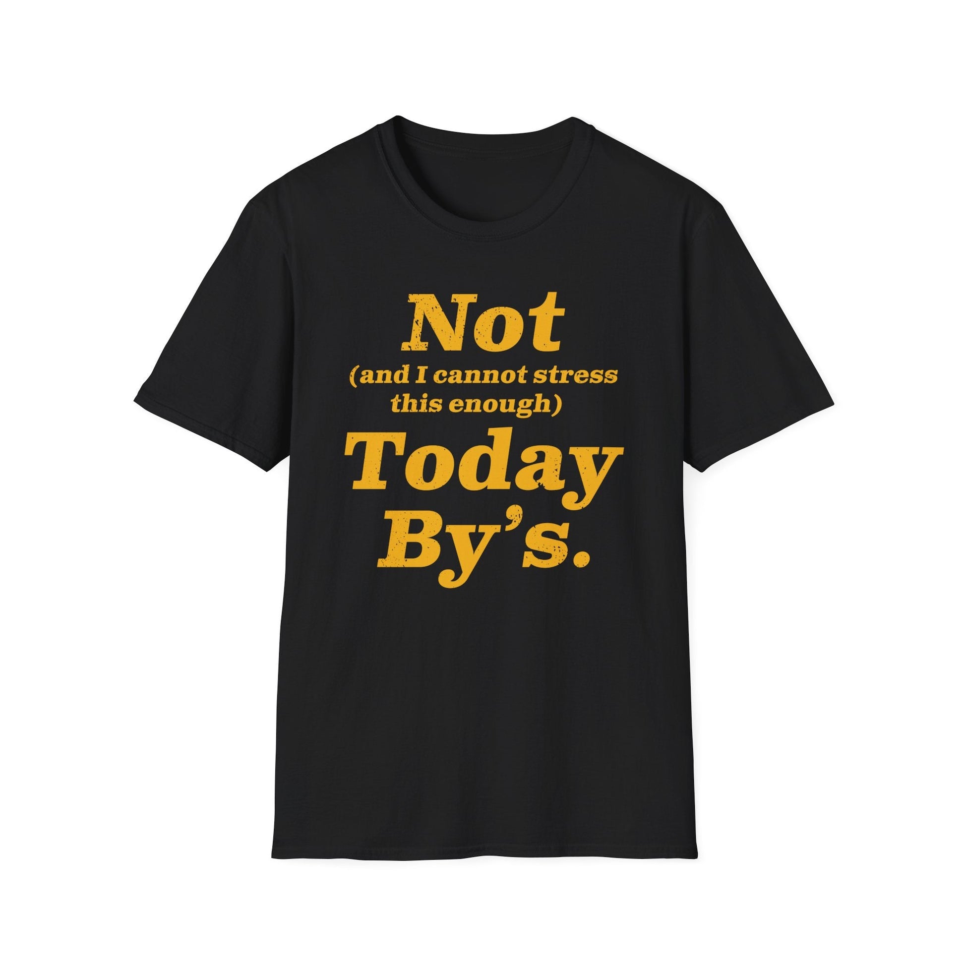"Not Today B’ys" T-Shirt - Newfinese Please